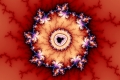 mandelbrot fractal image Crown of Thorns
