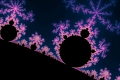 mandelbrot fractal image Electric Blossom