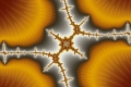 mandelbrot fractal image seashells
