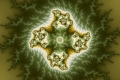 mandelbrot fractal image Vegetable cell