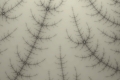 mandelbrot fractal image Winter trees