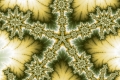 Mandelbrot fractal image acid starfish