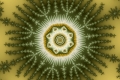 Mandelbrot fractal image acidic jelly