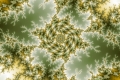 Mandelbrot fractal image agate