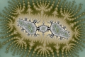 Mandelbrot fractal image amaba