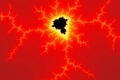 Mandelbrot fractal image ant