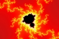 Mandelbrot fractal image ant god