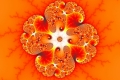 mandelbrot fractal image atomic rose