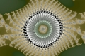 Mandelbrot fractal image beatifulfractal