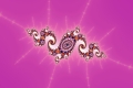 Mandelbrot fractal image Berry Swirl