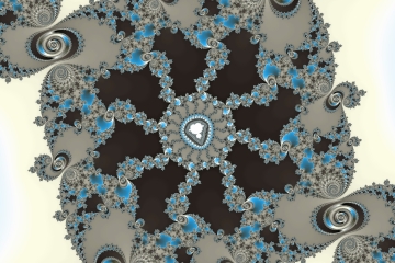 mandelbrot fractal image named Black flower.