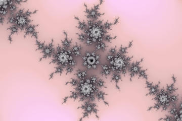 mandelbrot fractal image named Black flowers