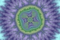Mandelbrot fractal image book