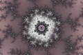 Mandelbrot fractal image botanic