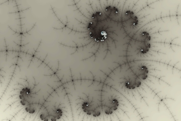 mandelbrot fractal image named Briar patch