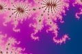 Mandelbrot fractal image bubblegum