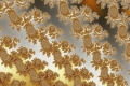 Mandelbrot fractal image ButterflyWings