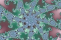 Mandelbrot fractal image Cacti
