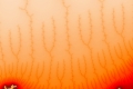 Mandelbrot fractal image capillaries