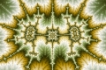 Mandelbrot fractal image Cellular Mitosis
