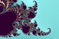 Mandelbrot fractal image Classy Fern