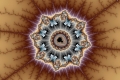 Mandelbrot fractal image Colores extranos