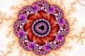Mandelbrot fractal image Damiflora