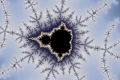 Mandelbrot fractal image Distant Cold Bug