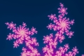 Mandelbrot fractal image Double pink