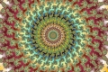 Mandelbrot fractal image elite1