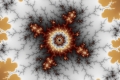 Mandelbrot fractal image erova