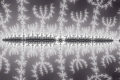 Mandelbrot fractal image evocules