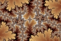 Mandelbrot fractal image fall leaves