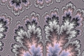 Mandelbrot fractal image feathers and lace