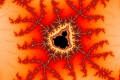 Mandelbrot fractal image firebuddha