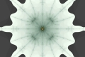 Mandelbrot fractal image flat