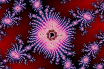 mandelbrot fractal image named flower 11