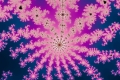 Mandelbrot fractal image Flowering