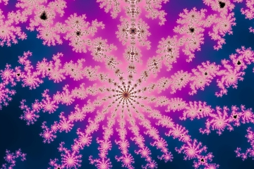 mandelbrot fractal image named Flowering