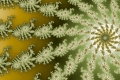 Mandelbrot fractal image flwerstar