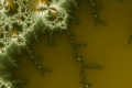 Mandelbrot fractal image forecast is rain