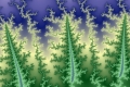 Mandelbrot fractal image Forest 