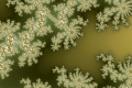 Mandelbrot fractal image forest floor