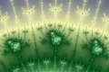 Mandelbrot fractal image Forest shade