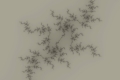 Mandelbrot fractal image fossil