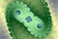 Mandelbrot fractal image green-bow