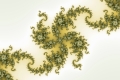 Mandelbrot fractal image Green grace