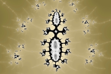 Mandelbrot fractal image named Insect by Tanta mandelbrot fractal image named Insect