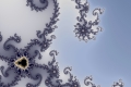 Mandelbrot fractal image janice