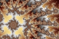 Mandelbrot fractal image jasons_1